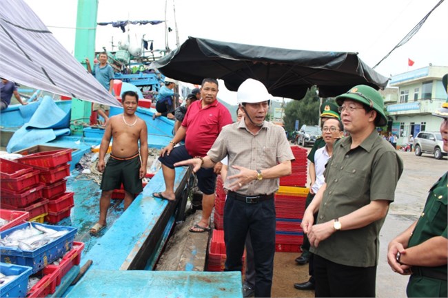 Bình Định: Đảng viên đi đầu chống khai thác thủy sản bất hợp pháp (01/05/2024)